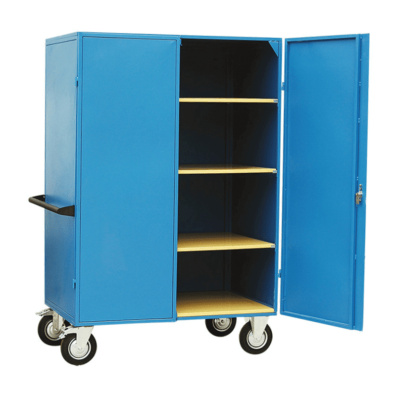 Armoire grillagée ou métallique 300 kg - WG-WM – Image 2